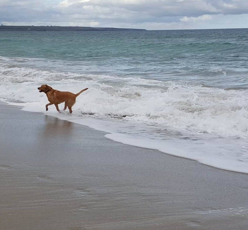 Ellie, owner of Mackays Hotel, walking on the beach in Wick with Max