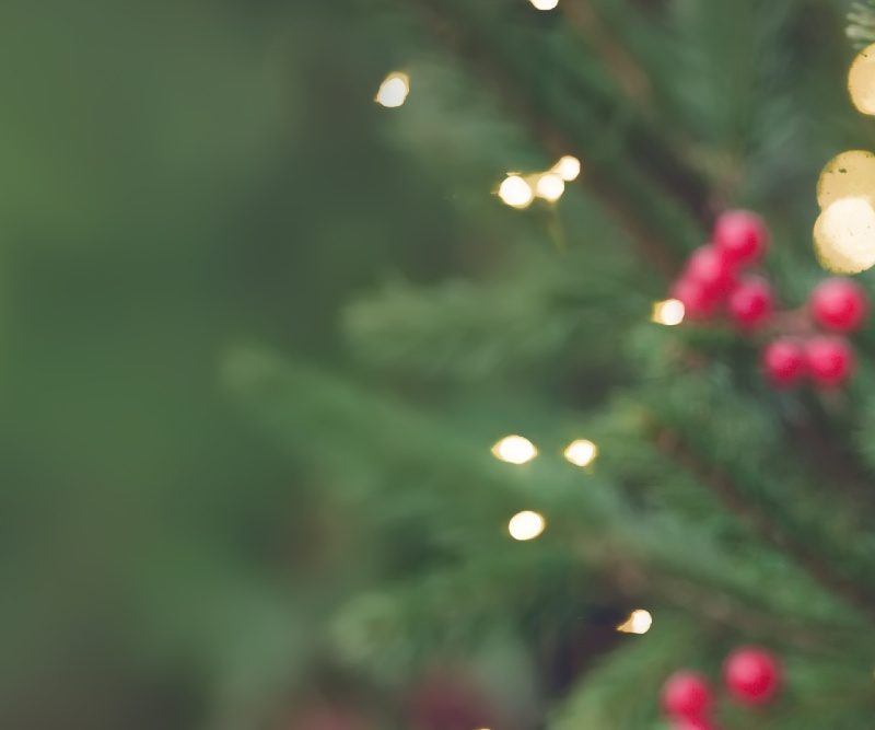 Photo of Christmas tree with blurred green background